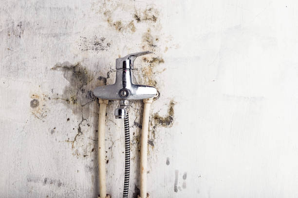 Mold Testing and Removal in Allen, TX