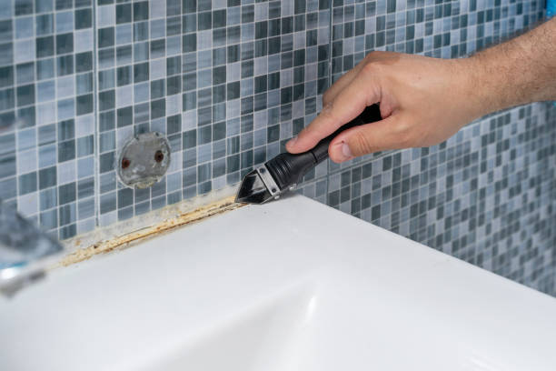 Mold Removal Process in Allen, TX