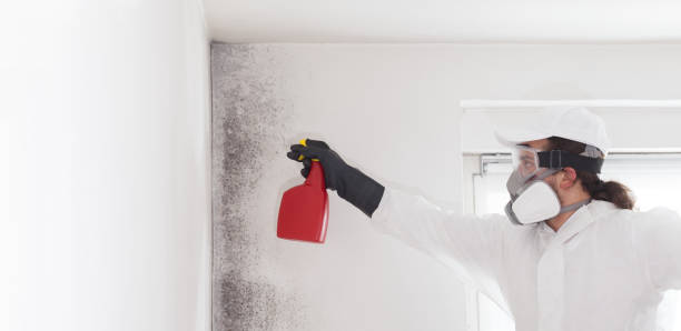 Water Damage Restoration in Allen, TX